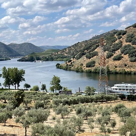 Douro Visit House Villa Torre De Moncorvo Dış mekan fotoğraf